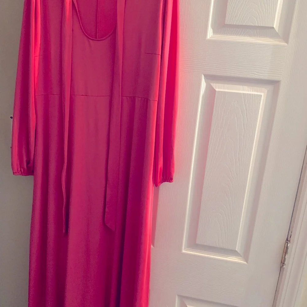 Lalagen maxi floor length dress/gown size 3XL long sleeve. - Picture 1 of 2